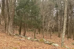 260 Elm St, Walpole, MA 02081 - Photo 31