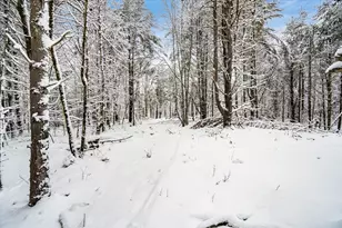 750 Teel Rd, Winchendon, MA 01475 - Photo 39