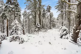 750 Teel Rd, Winchendon, MA 01475 - Photo 37