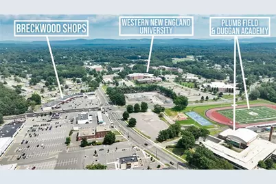 114 Riverton Road, Springfield, MA 01109 - Photo 31