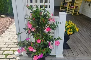 92 Main St, Hopkinton, MA 01748 - Photo 3