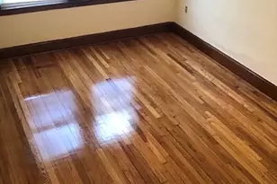 36 Seymour St, Boston, MA 02131 - Photo 13