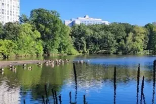 175 High St, Brookline, MA 02445 - Photo 15