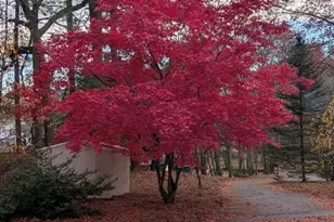 113 Hunter Ave, Hudson, MA 01749 - Photo 35