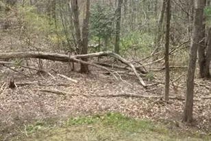 304 Manor Ter, Lexington, MA 02420 - Photo 15