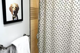 177 E St, Boston, MA 02127 - Photo 21