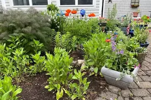 34 Rolling Hills Dr, East Bridgewater, MA 02333 - Photo 5