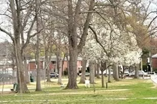 260 Grant St, Framingham, MA 01702 - Photo 29