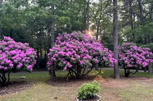 19 Roosevelt Rd, Plymouth, MA 02360 - Photo 35