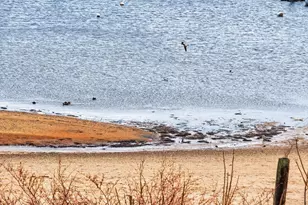 333 Commercial, Provincetown, MA 02657 - Photo 19