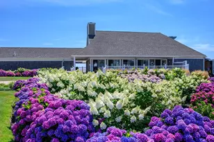 1 Belmont Rd, Harwich, MA 02671 - Photo 29