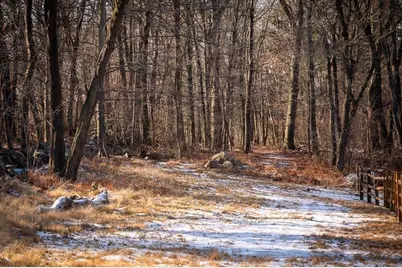 0 Belcher, Essex, MA 01929 - Photo 3