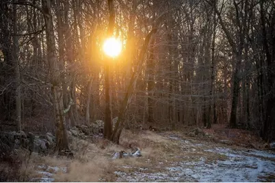 0 Belcher, Essex, MA 01929 - Photo 15