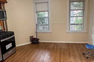 35 Hollander St, Boston, MA 02121 - Photo 11