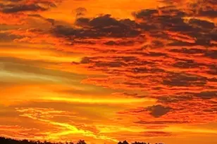 57 Long Point Rd, Lakeville, MA 02347 - Photo 29