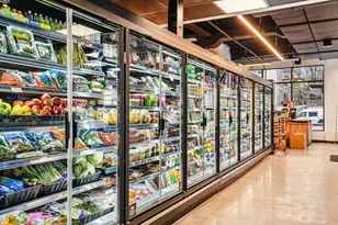 256 Dorchester St, Boston, MA 02127 - Photo 29