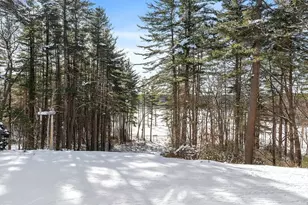 132 Williams Rd, Concord, MA 01742 - Photo 5