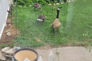 19 Abbey Ln, Taunton, MA 02780 - Photo 15