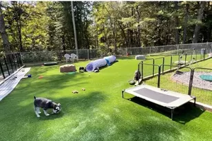 1451 Route 2, Charlemont, MA 01339 - Photo 37