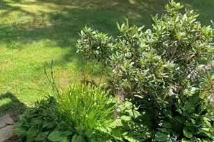 1451 Route 2, Charlemont, MA 01339 - Photo 39