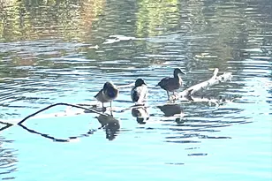 81 Jolicoeur Ave, Spencer, MA 01562 - Photo 5