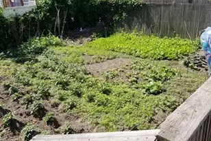 31 Russell St, West Springfield, MA 01089 - Photo 9