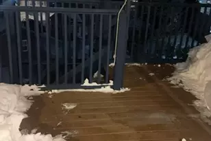 118 Sumner St, Quincy, MA 02169 - Photo 23