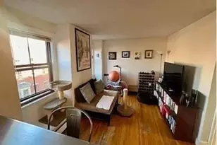 20 Hanson, Boston, MA 02118 - Photo 5