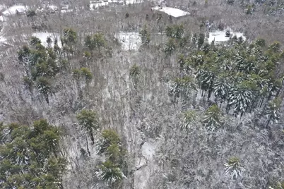 30 Sammy's Lane, Freetown, MA 02702 - Photo 9