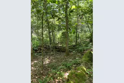 30 Sammy's Lane, Freetown, MA 02702 - Photo 1