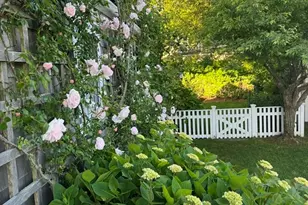 28 Morey Ln, Nantucket, MA 02564 - Photo 37