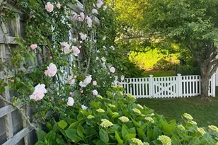 28 Morey Ln, Nantucket, MA 02554 - Photo 35