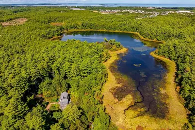 42 Steeplebush Way, Plymouth, MA 02360 - Photo 19