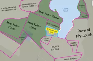 42 Steeplebush Way, Plymouth, MA 02360 - Photo 25