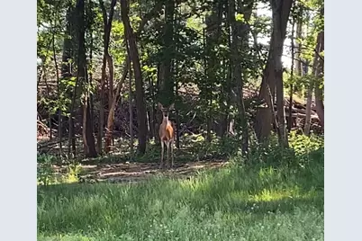 102R Kimball, Amesbury, MA 01913 - Photo 9