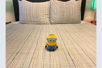 130 W 8th St #3, Boston, MA 02127 - Photo 31