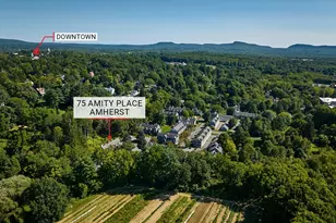 75 Amity Pl, Amherst, MA 01002 - Photo 39