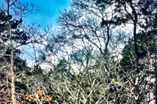 2 Old Farms Trl, Edgartown, MA 02539 - Photo 1