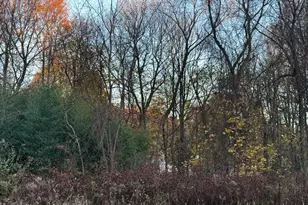 Lot 3 Lawler Ln, Stoughton, MA 02072 - Photo 5