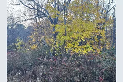 Lot 3 Lawler Ln, Stoughton, MA 02072 - Photo 3