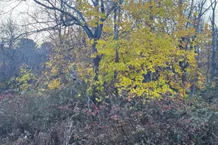 Lot 3 Lawler Ln, Stoughton, MA 02072 - Photo 3