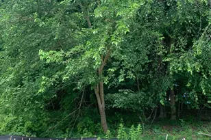 Lot 3 Lawler Ln, Stoughton, MA 02072 - Photo 7