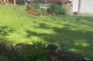 54 Main St, Foxboro, MA 02035 - Photo 25