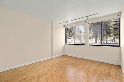 250 Hammond Pond Parkway #213S, Newton, MA 02467 - Photo 9