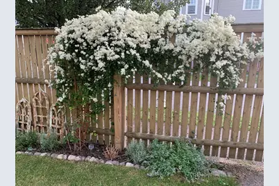 62 Everett St #2, Arlington, MA 02474 - Photo 39