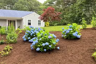 87 N Pond Dr, Brewster, MA 02631 - Photo 39