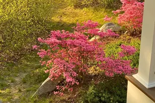 87 N Pond Dr, Brewster, MA 02631 - Photo 35