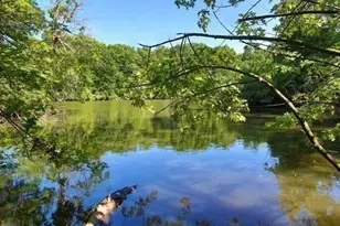 77 Pond Ave, Brookline, MA 02445 - Photo 17