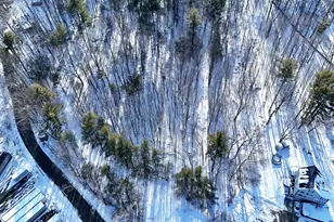 6 Gillespie Rd, Charlton, MA 01507 - Photo 19