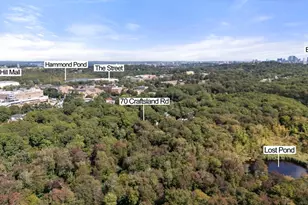 70 Craftsland Rd, Brookline, MA 02467 - Photo 19